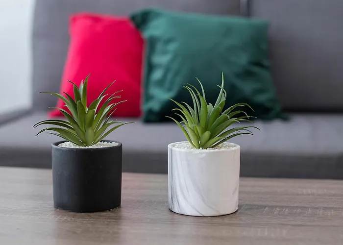 Playa Victoria Paseo Maritimo 3 Rooms Cádiz