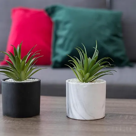 Playa Victoria Paseo Marítimo 3 Cádiz